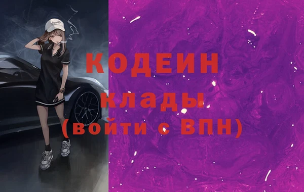 индика Абаза