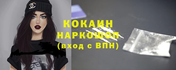 кокс Алексин