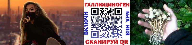 Галлюциногенные грибы мухоморы  Котовск 
