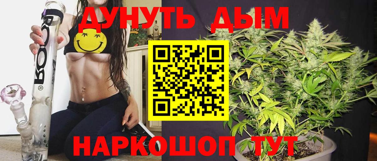 Конопля White Widow  Канабис тримм  Вход с VPN  Котовск  Бошки Шишки планчик 